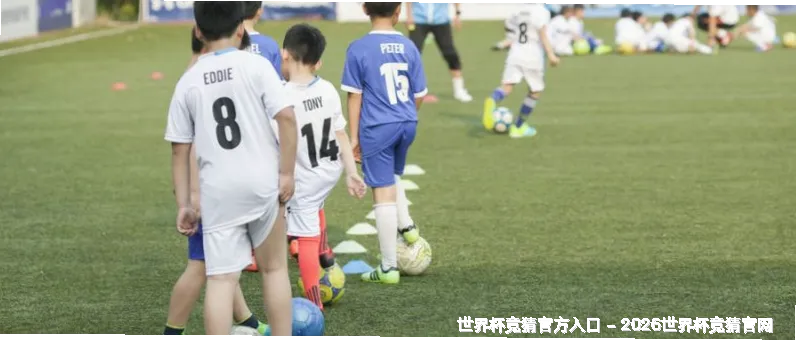 透明·公正·赋能