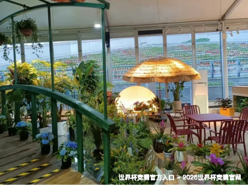 迎接美加墨，定义新竞猜