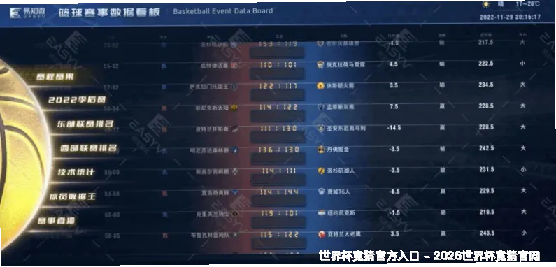 使用指南与风险提示